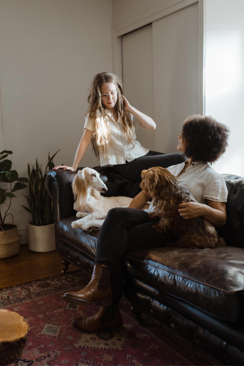 Assertive Community Treatment (act) Tile: Couple sitting in room with dogs on couch.