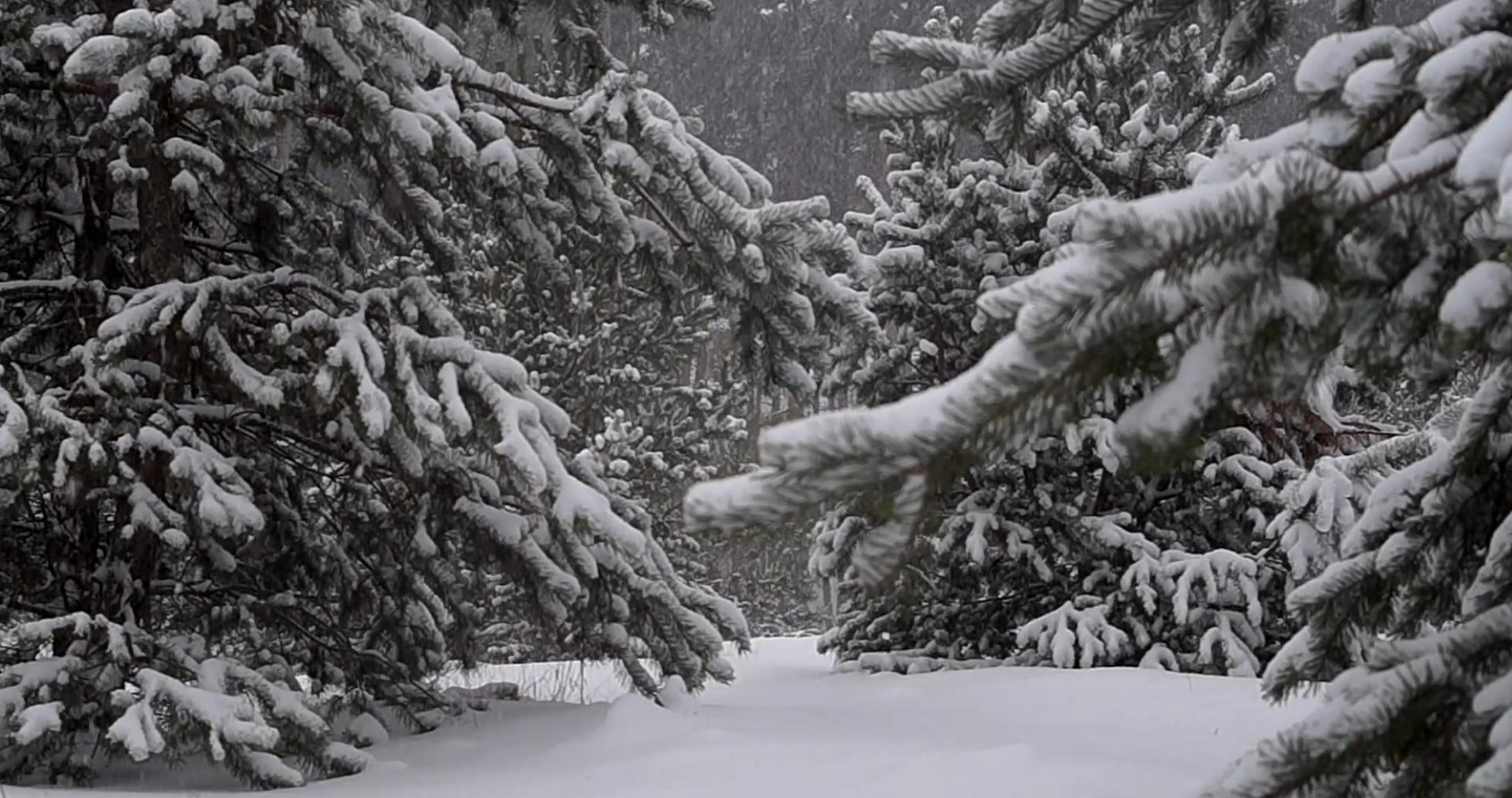 BlockData.background_image.title