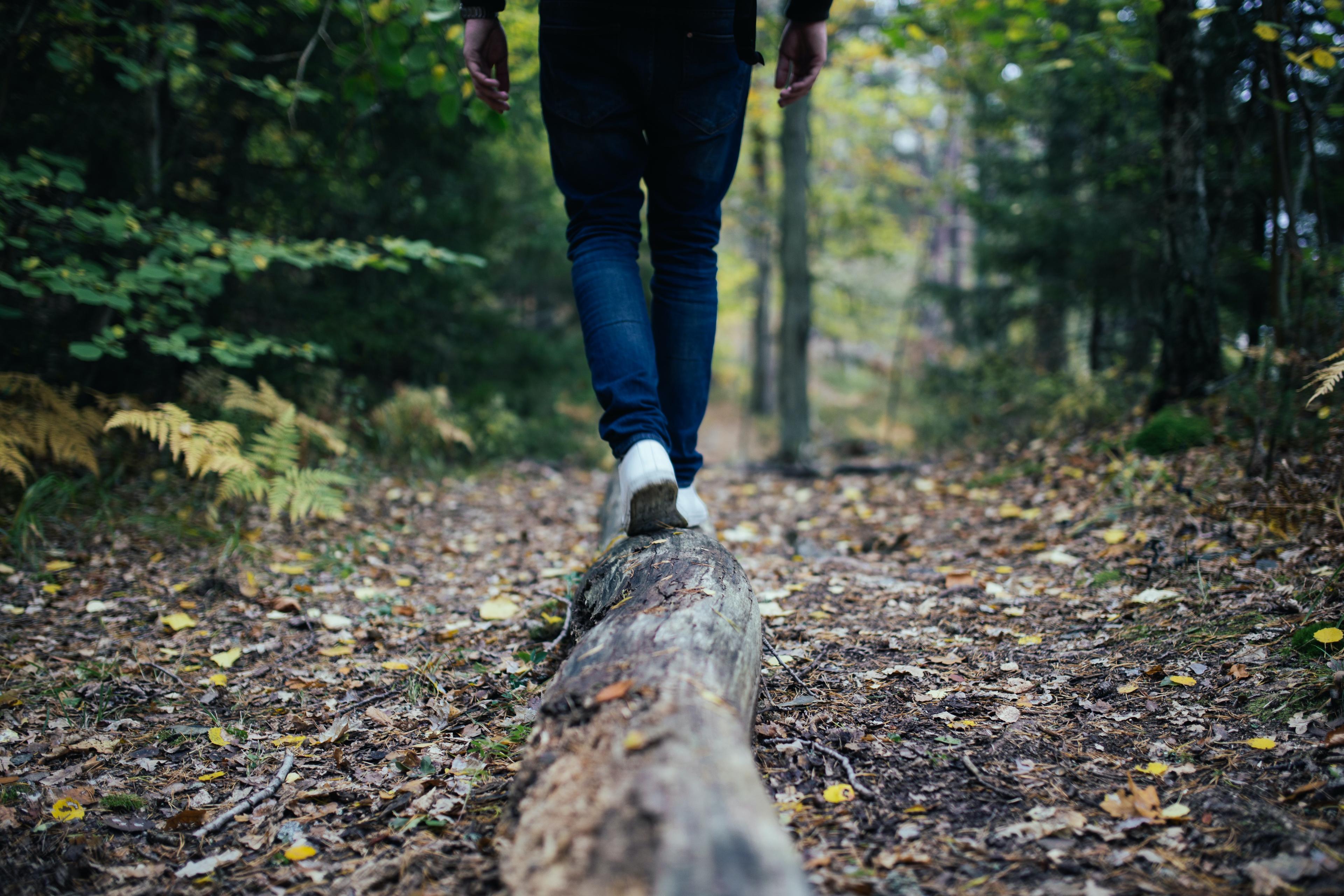 Person walking in woods on large branch.