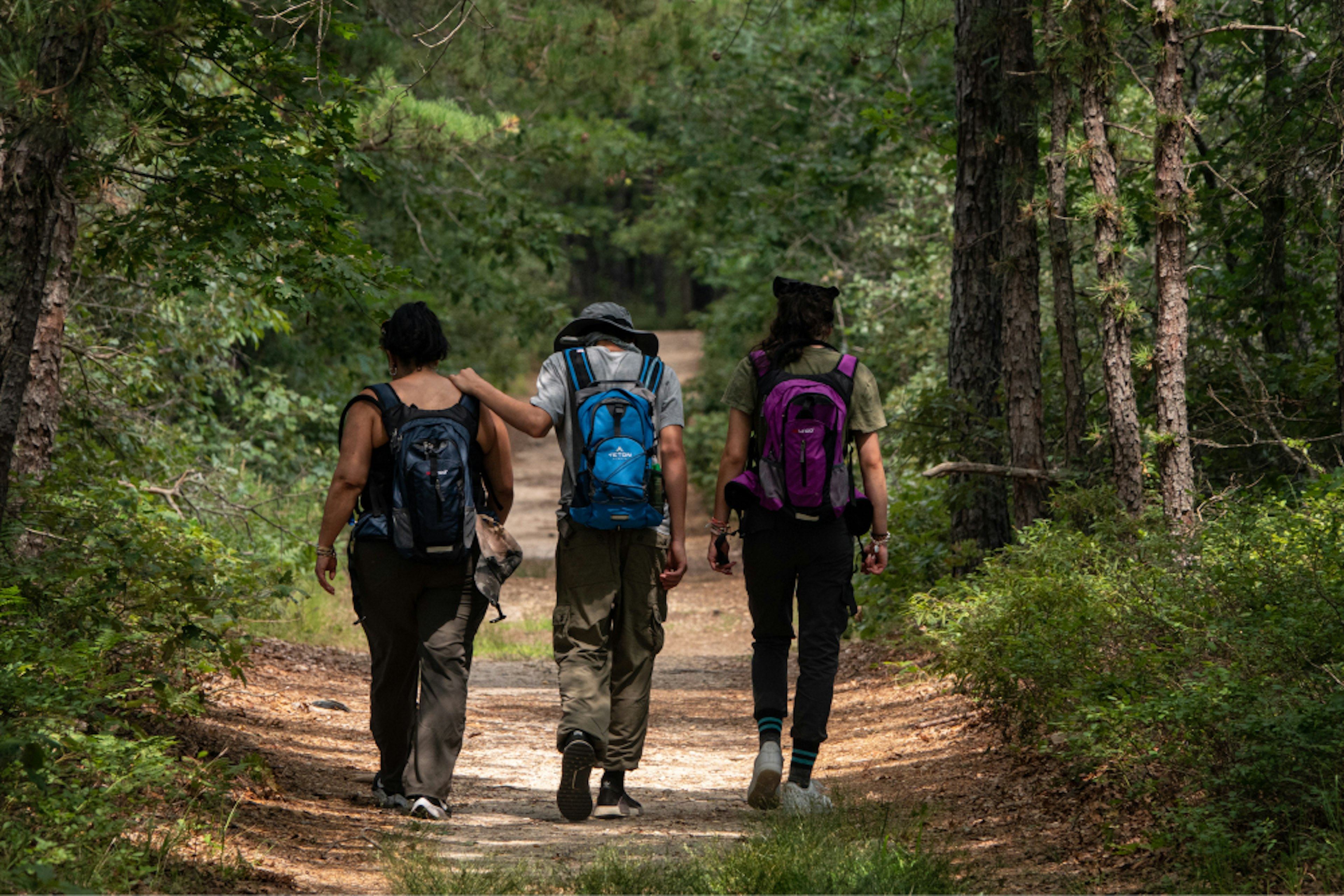 A group of friends hiking in the woods