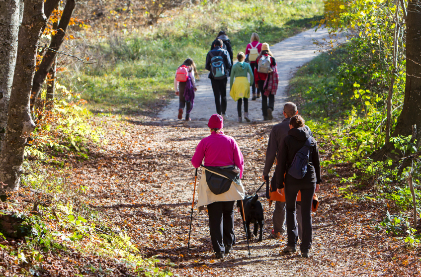 Leading Our Community Into Wellness People Walking on Trail.