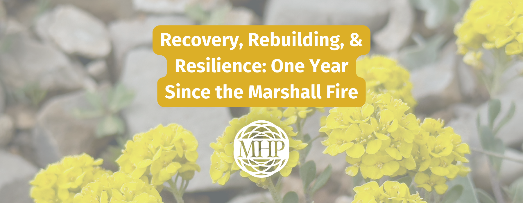 Recovery, Rebuilding, & Resilience One Year Since the Marshall Fire